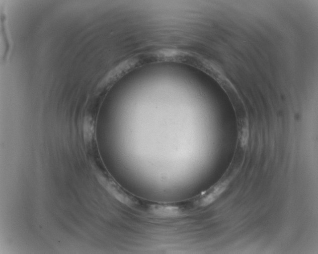 X0000084010476200703022036