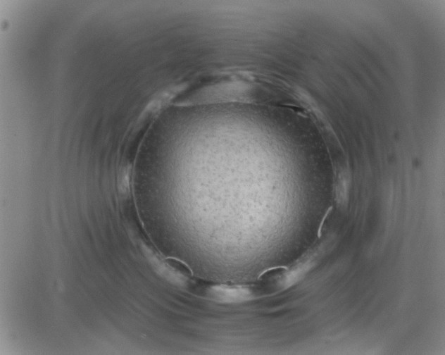 X0000084010477200703022036