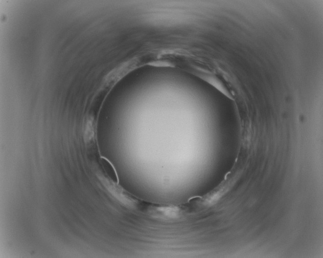 X0000084010478200703022036