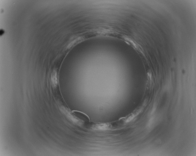 X0000084010479200703022036