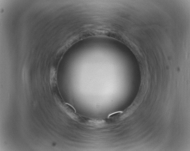 X0000084010480200703022036