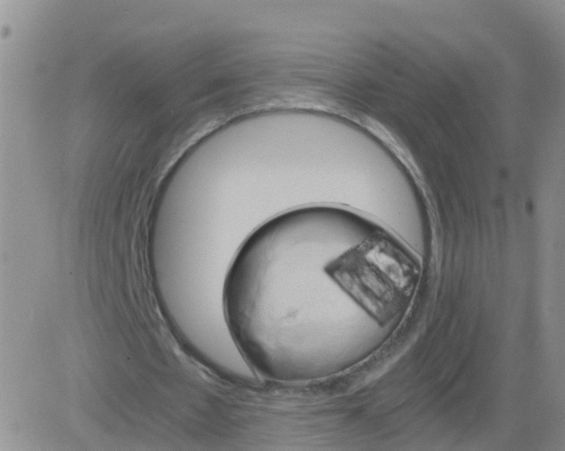 X0000084010481200703022035