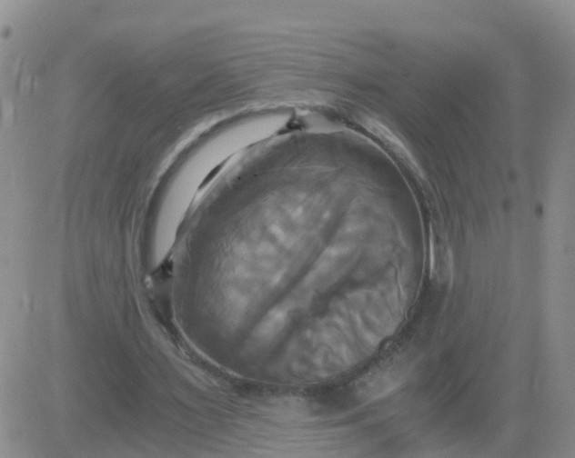 X0000084010483200703022035