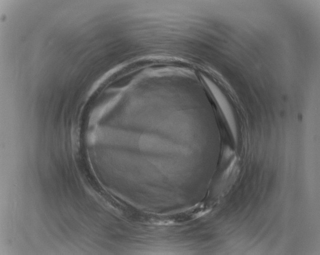 X0000084010484200703022035