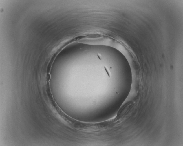 X0000084010485200703022035