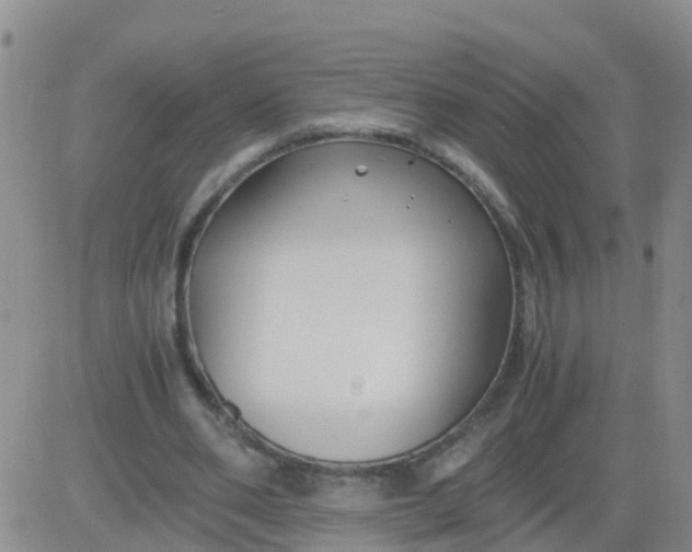 X0000084010486200703022035