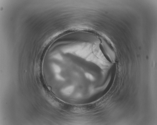 X0000084010487200703022035