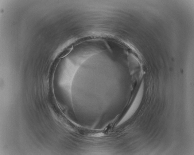 X0000084010488200703022035