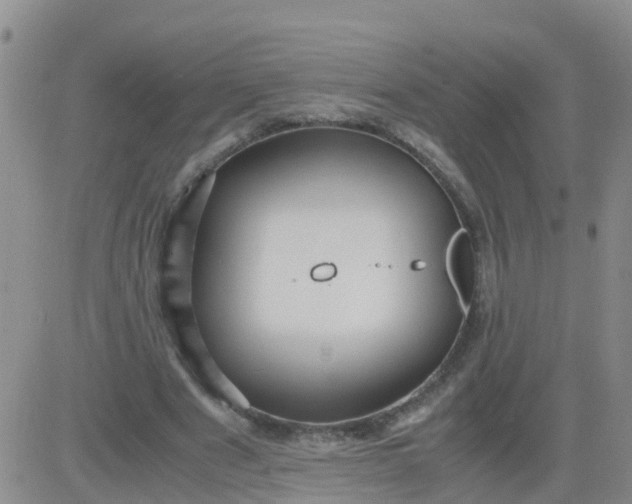 X0000084010489200703022035