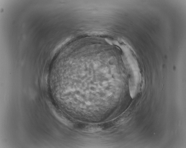 X0000084010491200703022035