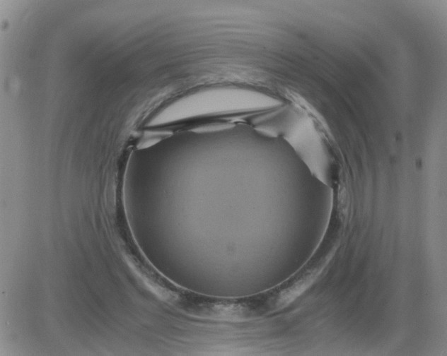 X0000084010493200703022035