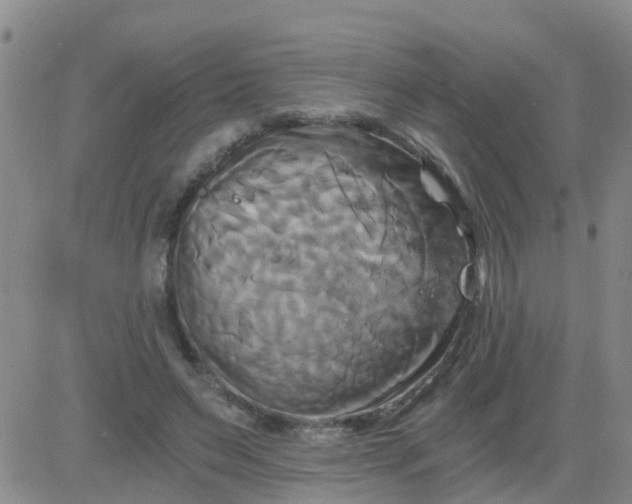 X0000084010495200703022035