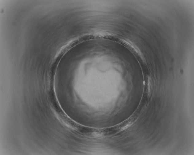 X0000084010496200703022035