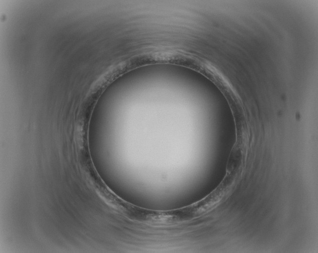 X0000084010497200703022035