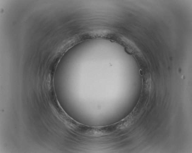 X0000084010498200703022035