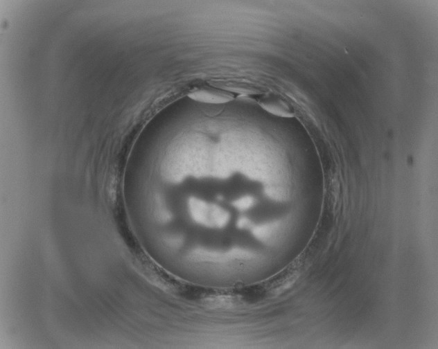 X0000084010499200703022035