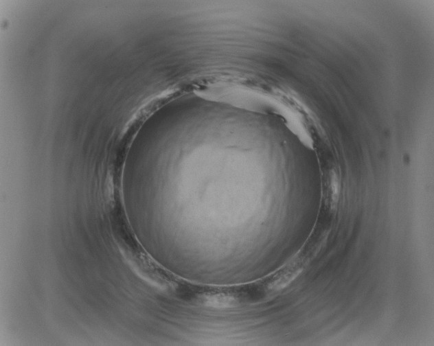 X0000084010500200703022035