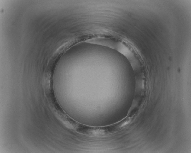 X0000084010501200703022035