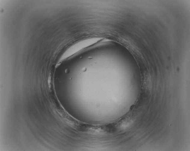 X0000084010502200703022035