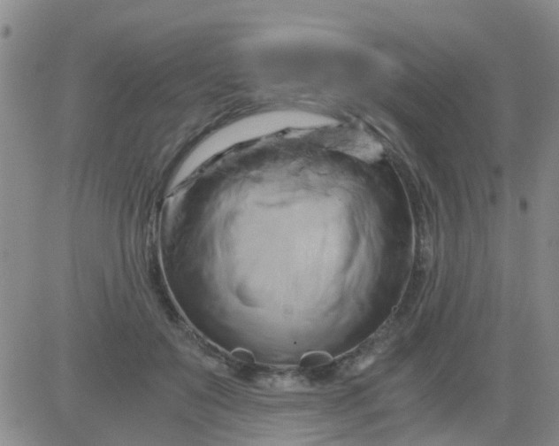 X0000084010503200703022035