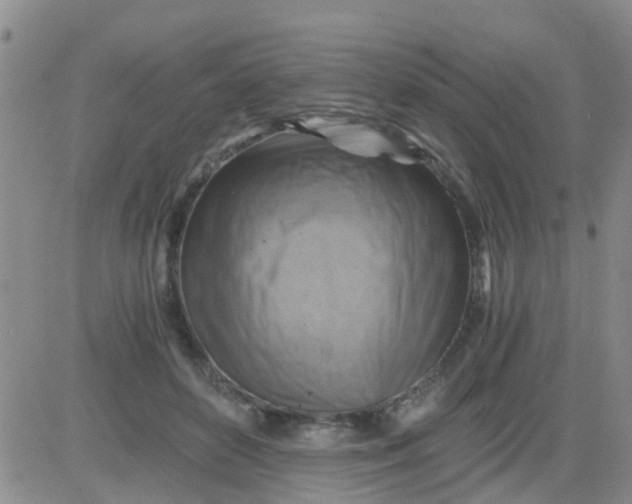 X0000084010504200703022035