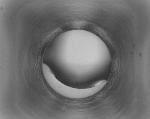 X0000084010505200703022035