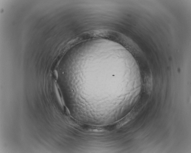 X0000084010506200703022035