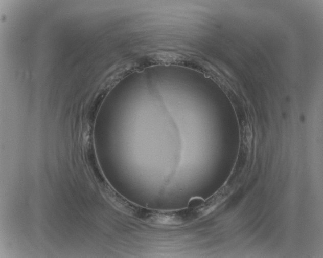 X0000084010507200703022035