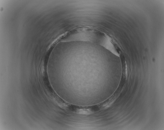 X0000084010508200703022035