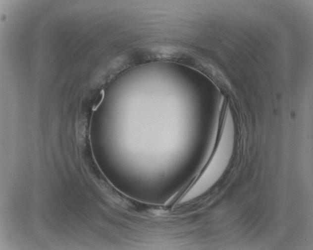 X0000084010509200703022035