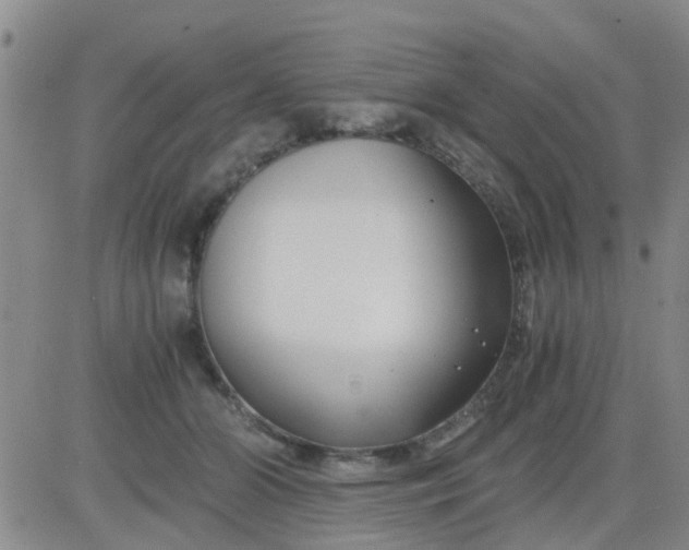 X0000084010510200703022035