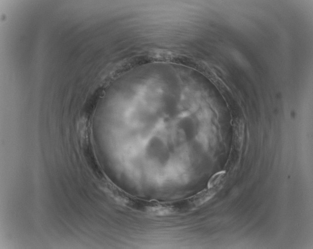 X0000084010511200703022035