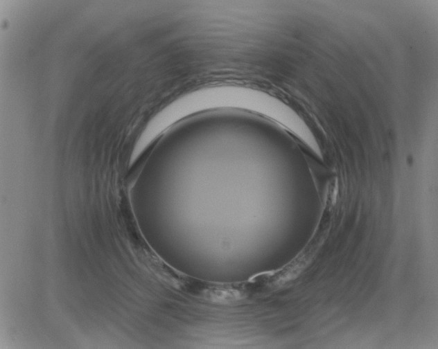 X0000084010512200703022035