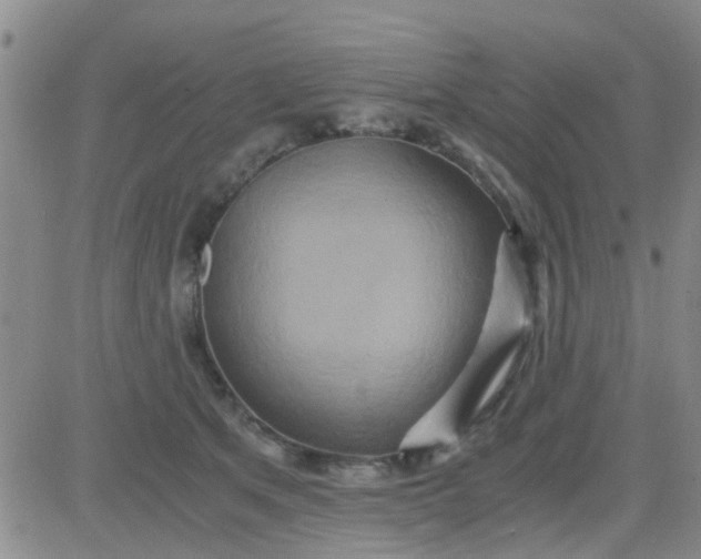 X0000084010513200703022034