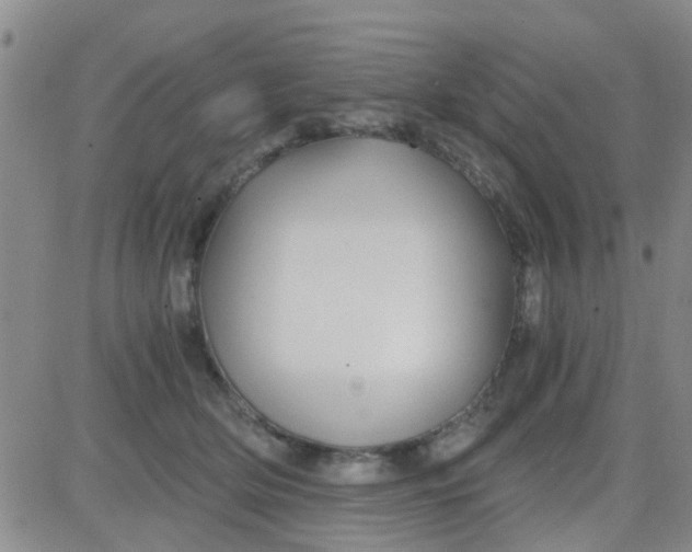 X0000084010514200703022034