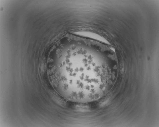 X0000084010515200703022034