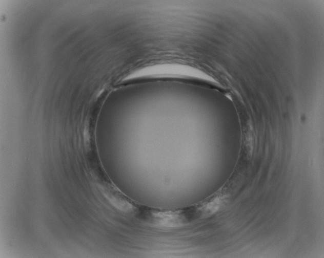 X0000084010516200703022034