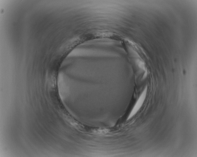 X0000084010517200703022034