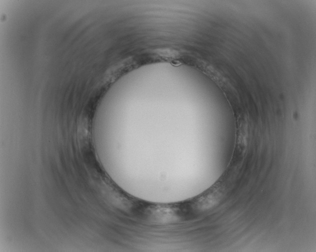 X0000084010518200703022034