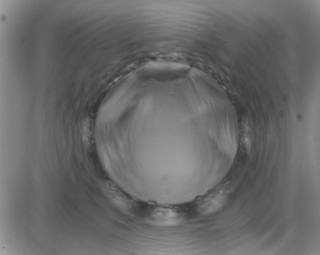 X0000084010519200703022034