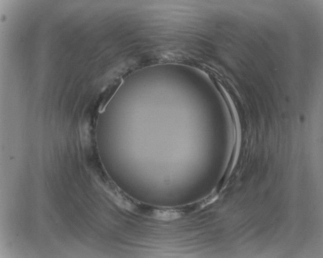 X0000084010520200703022034