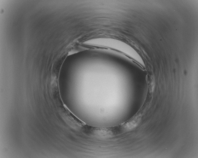 X0000084010521200703022034