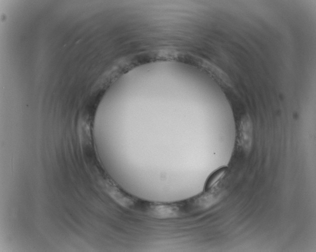 X0000084010522200703022034