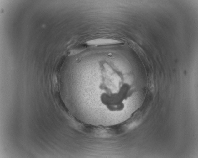 X0000084010523200703022034