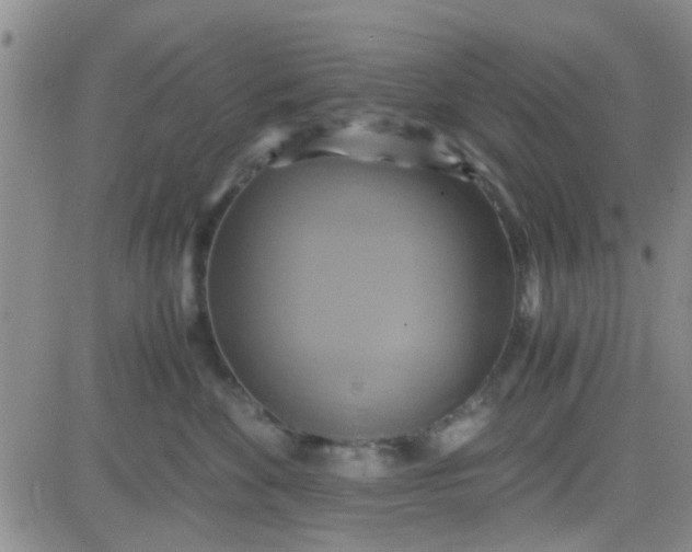 X0000084010524200703022034