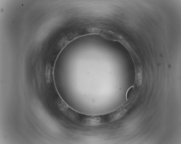 X0000084010525200703022034