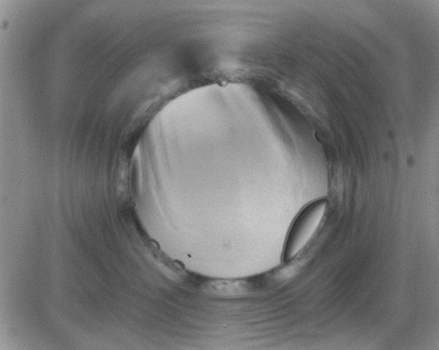 X0000084010526200703022034