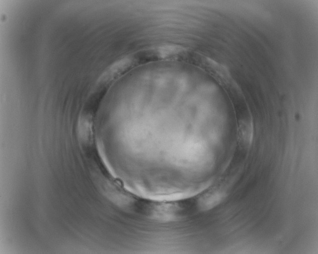 X0000084010527200703022034