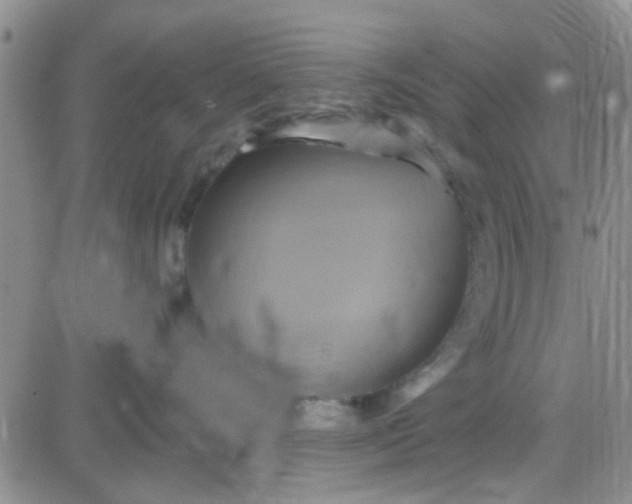 X0000084010528200703022034