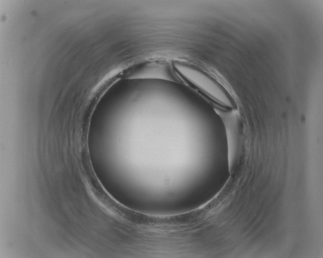 X0000084010530200703022033